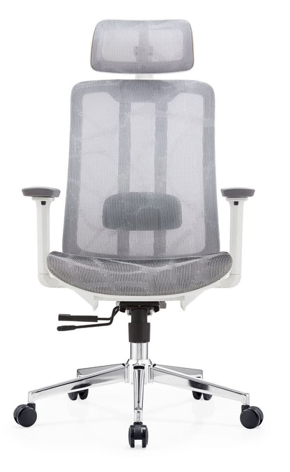 Dual Frame Executive Chair