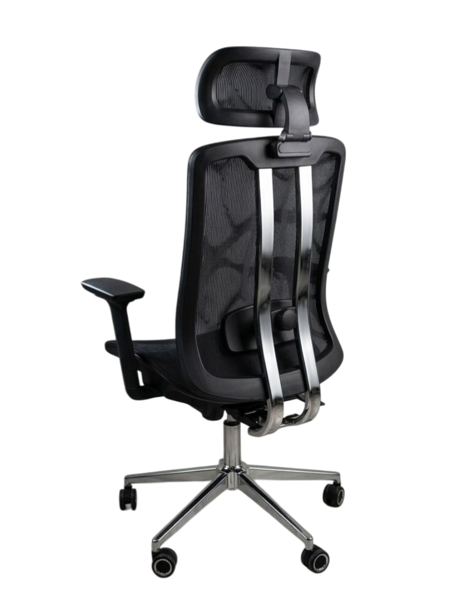 Dual Frame Executive Chair