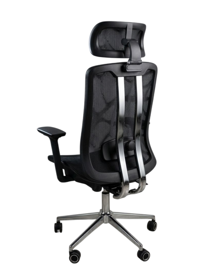 Dual Frame Executive Chair