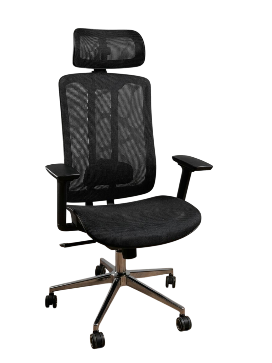 Dual Frame Executive Chair