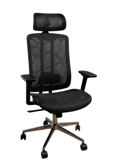 Dual Frame Executive Chair